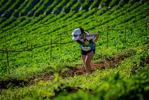 BIB: 
                            <button type="button" onclick="openModal(19161020)" class="btn btn-primary btn-sm float-right btn-popup" data-toggle="modal" data-target=".modal-high-quality">
                        <i class="fas fa-shopping-cart"></i> Add to Cart
                    </button>
                                            <button type="button" onclick="isThisMe(19161020, true)" class="btn btn-success btn-sm float-right btn-popup btn-isme hidden" data-toggle="tooltip" data-placement="bottom" title="นี่คือรูปของคุณใช่ไหม คลิกที่นี่เพื่อเอาเข้าอัลบั้ม">
                        <i class="fas fa-plus"></i> Add to album
                    </button>
                    <button type="button" onclick="isThisMe(19161020, false)" class="btn btn-warning btn-sm float-right btn-popup btn-isnotme hidden">
                        <i class="fas fa-ban"></i> Remove from album
                    </button>